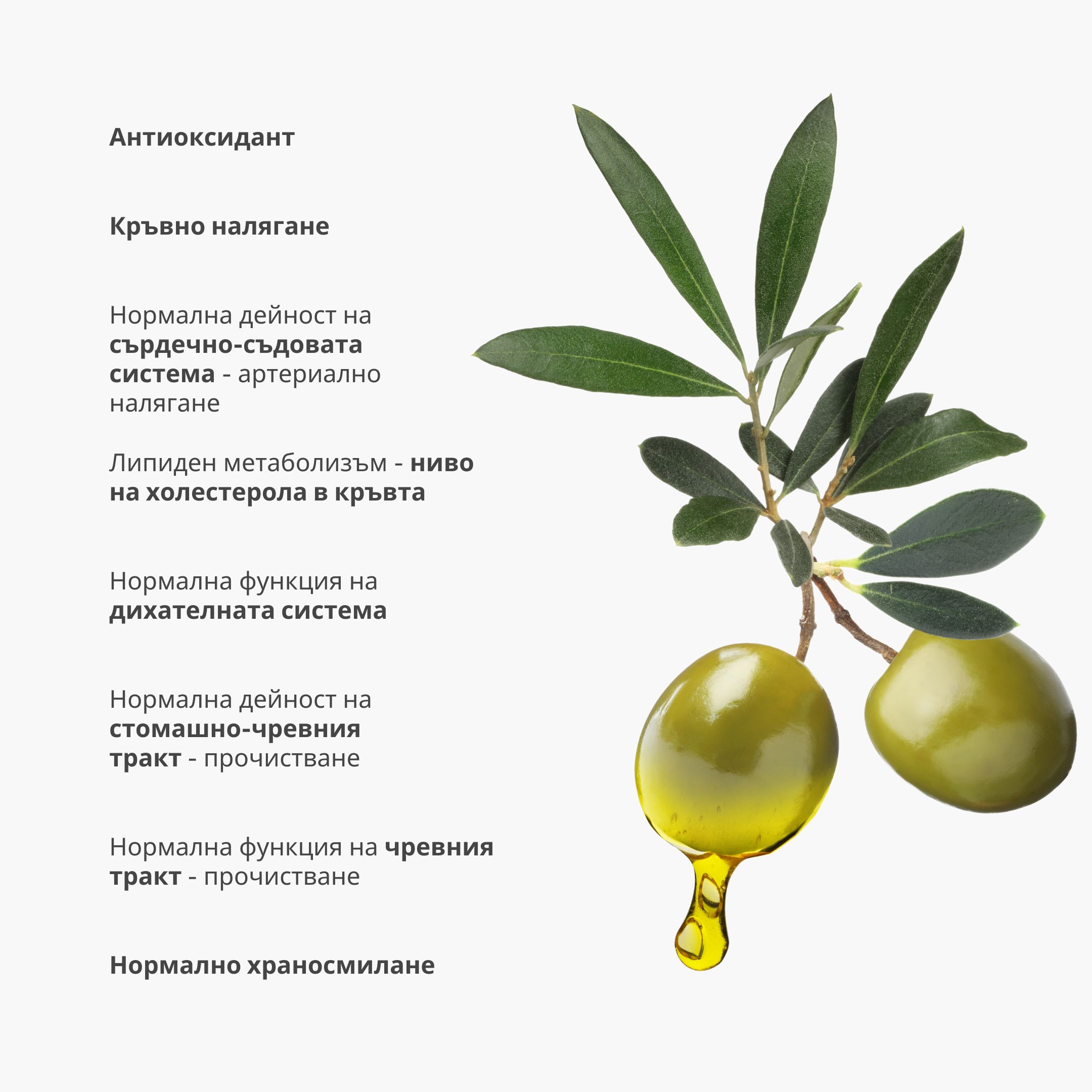 (Bulharština) (4)